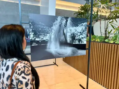 notícia: Parque da Cidade recebe exposição fotográfica inédita sobre a cultura da mandioca