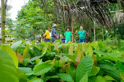 notícia: Emater-Pará divulga edital de PSS e inscrições iniciam nesta segunda-feira (23)