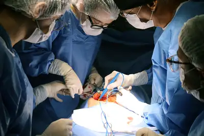 notícia: Pará integra o maior mutirão da história do SUS e amplia acesso à saúde da mulher em todo o estado