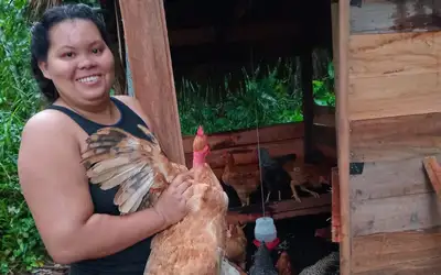 notícia: Em Breves, agricultora tem recomeço exemplar com o apoio da Emater no Marajó