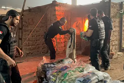 notícia: Polícia Civil do Pará incinera mais de uma tonelada de drogas em Castanhal