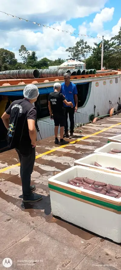 notícia: Adepará apreende 2 mil litros de polpa de açaí sem procedência