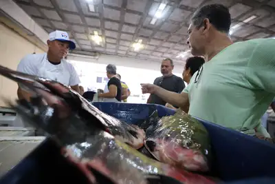notícia: Feira do Pescado garante produtos de qualidade e preços acessíveis na Semana Santa em Marabá e região