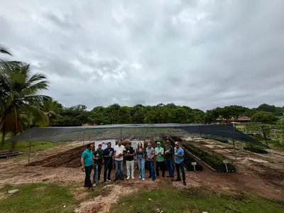 notícia: Expansão de viveiros melhora qualidade de sementes e mudas no Pará