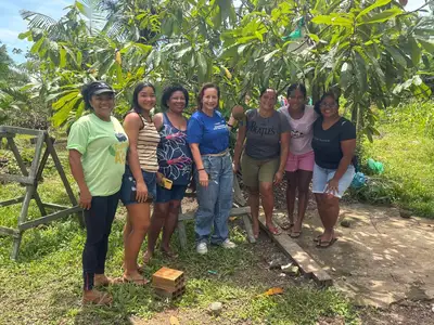 notícia: Agricultura familiar ganha força com alinhamento de informações no Acará