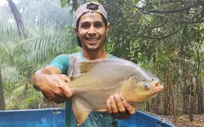 notícia: Piscicultor atendido pela Emater promove venda de peixe vivo em Marituba