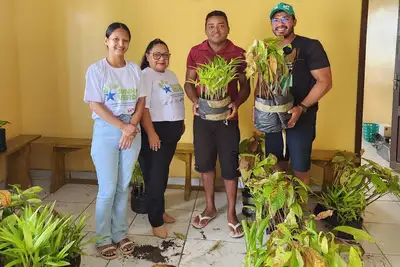notícia: Parceria entre Ideflor-Bio e Chaves fortalece agricultura familiar no Arquipélago do Marajó