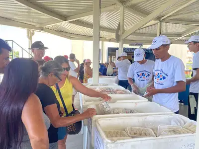 notícia: Semana do Pescado começa em Belém e em 70 municípios paraenses nesta quarta-feira (1º)