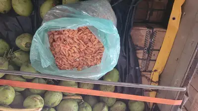 notícia: Sefa apreende nove toneladas de camarão, além de móveis e equipamentos eletrônicos