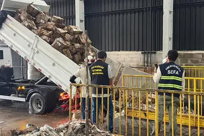 notícia: Adepará inutiliza mais de 9 toneladas de pescado irregular durante Operação Semana Santa
