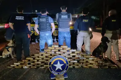 notícia: Polícia Civil apreende 91 tabletes de skunk em Benevides 