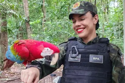 notícia: Governo do Pará orienta população sobre como agir ao encontrar animais silvestres em áreas urbanas