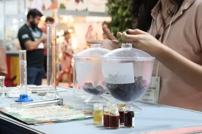 notícia: Laboratório do PCT Guamá apresenta ao público serviços voltados à cacauicultura 