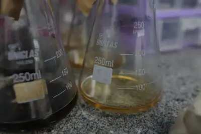 notícia: Laboratório do PCT Guamá avalia qualidade e potencial de óleo usado por comunidades da Ilha do Marajó