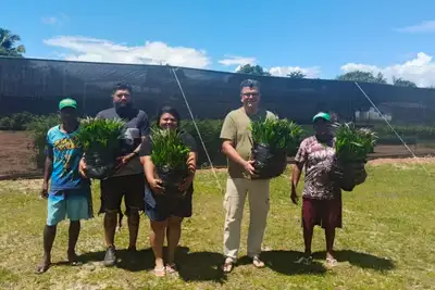 notícia: Parceria entre escritórios regionais do Ideflor-Bio fomenta produção sustentável no Pará