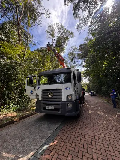 notícia: Cosanpa faz a poda em árvores no Parque Estadual do Utinga para evitar danos à rede elétrica
