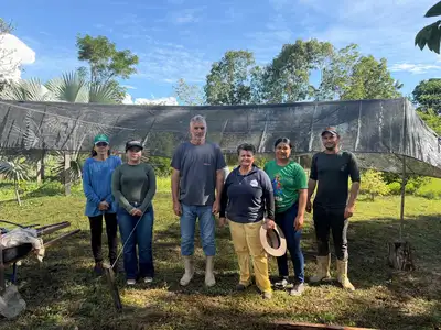 notícia: Ideflor-Bio fortalece meliponicultura e sistemas agroflorestais com novo viveiro na APA Lago de Tucuruí