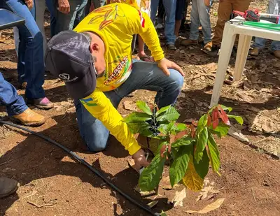 notícia: Placacaueira 2026 fortalece a cacauicultura familiar no Baixo Amazonas
