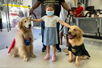 notícia: Cães terapeutas levam afeto e quebram rotina de crianças em tratamento do câncer
