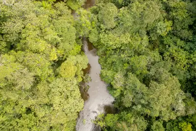 notícia: Projeto do Ideflor-Bio, em Belém, retorna com debate sobre ciência cidadã e educação ambiental