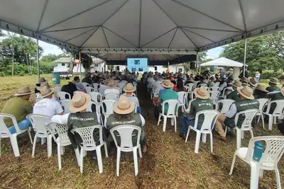 notícia: Com o apoio da Emater, apicultores paraenses participam de imersão tecnológica 