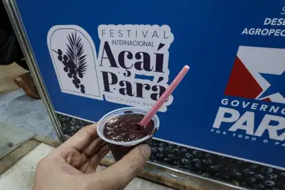 notícia: Sedap realiza festivais em junho para estimular cadeias do cacau e do açaí
