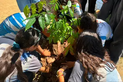 notícia: Ideflor-Bio e Usina da Paz promovem plantio de mudas e educação ambiental em escola pública do Guamá