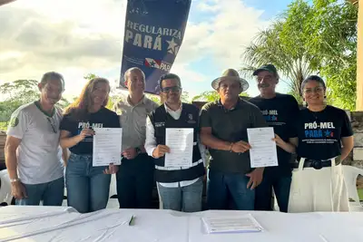 notícia: Primeira ação oficial do Pró-Mel beneficiará cerca de 1.500 produtores do nordeste do Pará