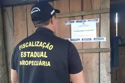 notícia: Adepará interdita abatedouro de suíno clandestino no município de Bragança