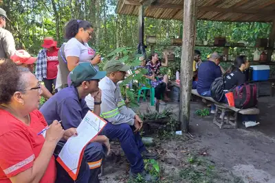 notícia: Semas realiza 1º Curso de Meliponicultura do Pró-Mel no assentamento Paulo Fonteles