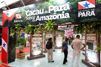 notícia: Comitiva paraense vai à feira de chocolate na Argentina com cacau de origem da Amazônia