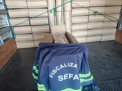 notícia: Sefa apreende 14 toneladas de castanha-do-pará no município de Cachoeira do Piriá