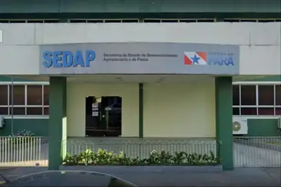notícia: Sedap abre edital com vagas para profissionais de nível médio, técnico e superior 