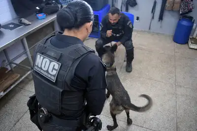 notícia: Estado fortalece a segurança penitenciária com Núcleo de Operações com Cães