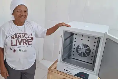 notícia: Entrega de estufas incentiva aproveitamento do babaçu por quebradeiras de coco em São Domingos do Araguaia, no sudeste do Pará