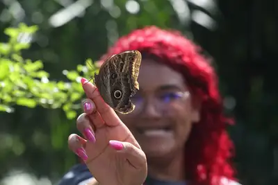 notícia: Parque Mangal das Garças promove nova edição do Projeto Ecoarte neste domingo (1º)