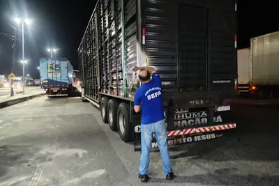 notícia: Sefa apreende 37 toneladas de farinha de trigo e 80 bovinos