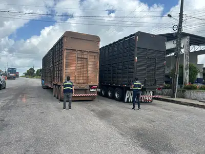 notícia: Sefa apreende R$ 2,2 milhões em automóveis, vinho e cabeças de gado