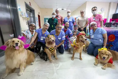 notícia: Clube dos Goldens leva alegria e reduz estresse entre crianças em tratamento oncológico